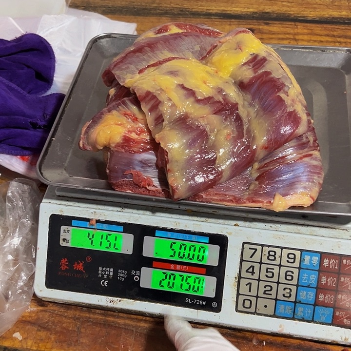 人***常广西土耕马马肉中国大陆