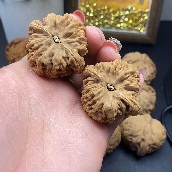 大叶紫檀（黑酸枝木类）南江石42