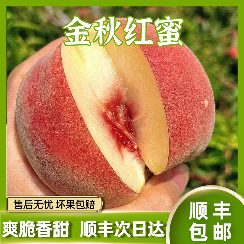 【顺丰次日达】金秋红蜜桃山东蒙阴2/5斤新鲜采摘脆软两吃顺丰包邮山东省