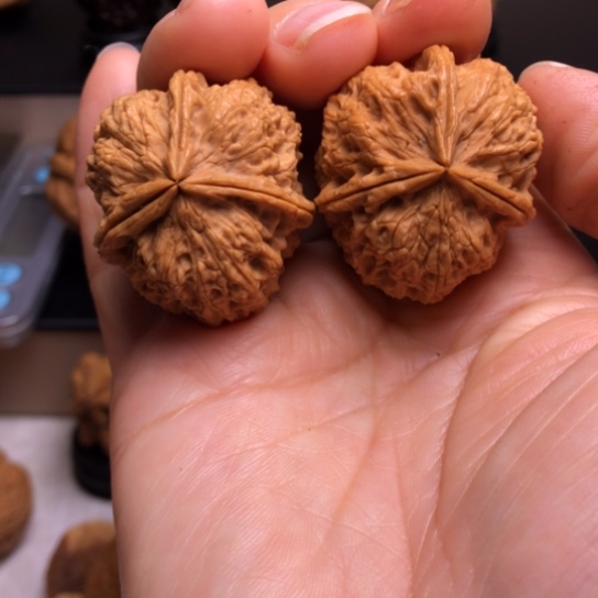 文玩核桃把件密石三楞6