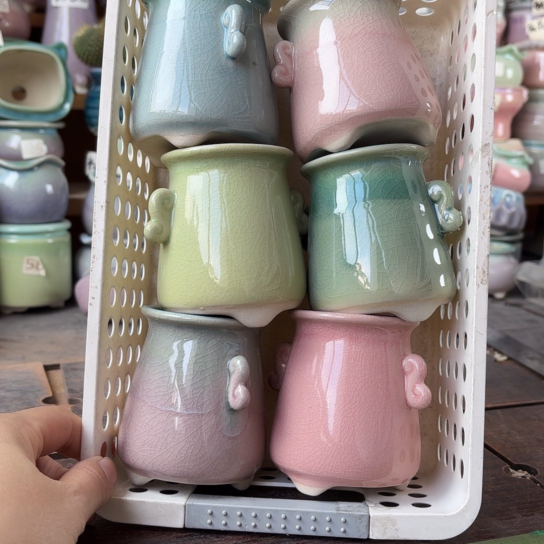 量货/口5高深浅搭配发6