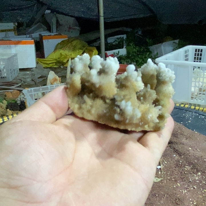 妖****玛瑙/玉髓合金挂件