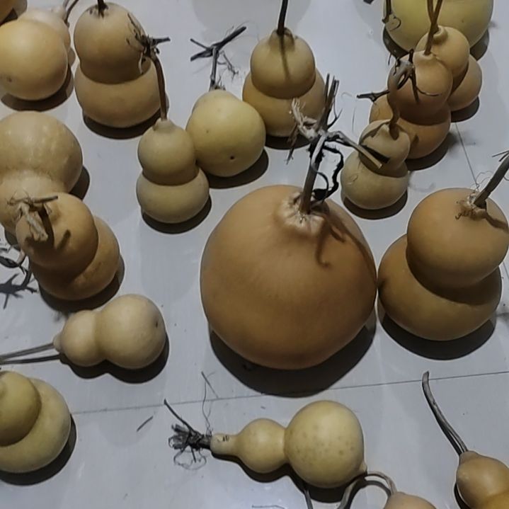 我***呀大叶紫檀（黑酸枝木类）