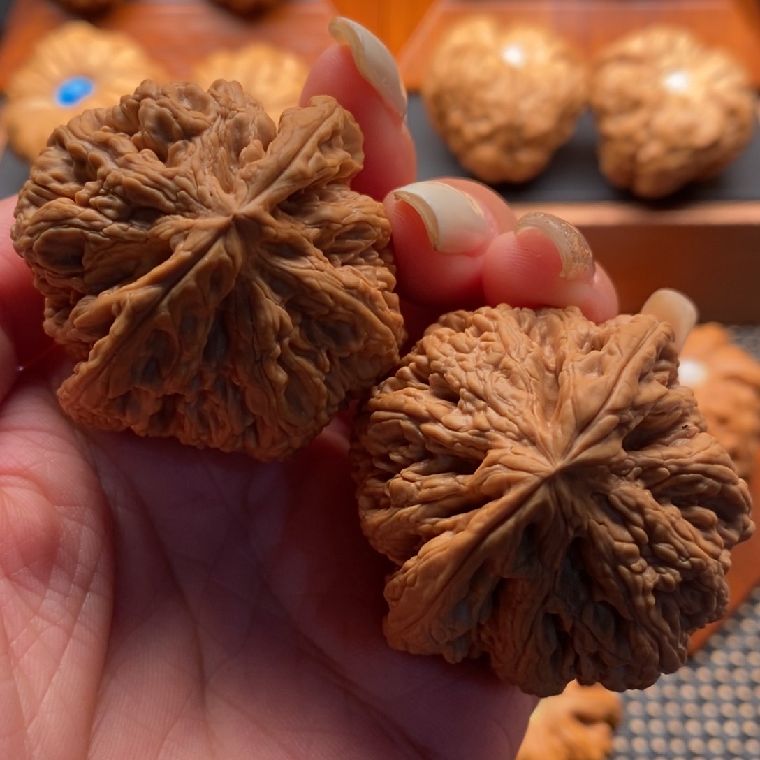 文玩核桃把件45尺寸全品粗筋