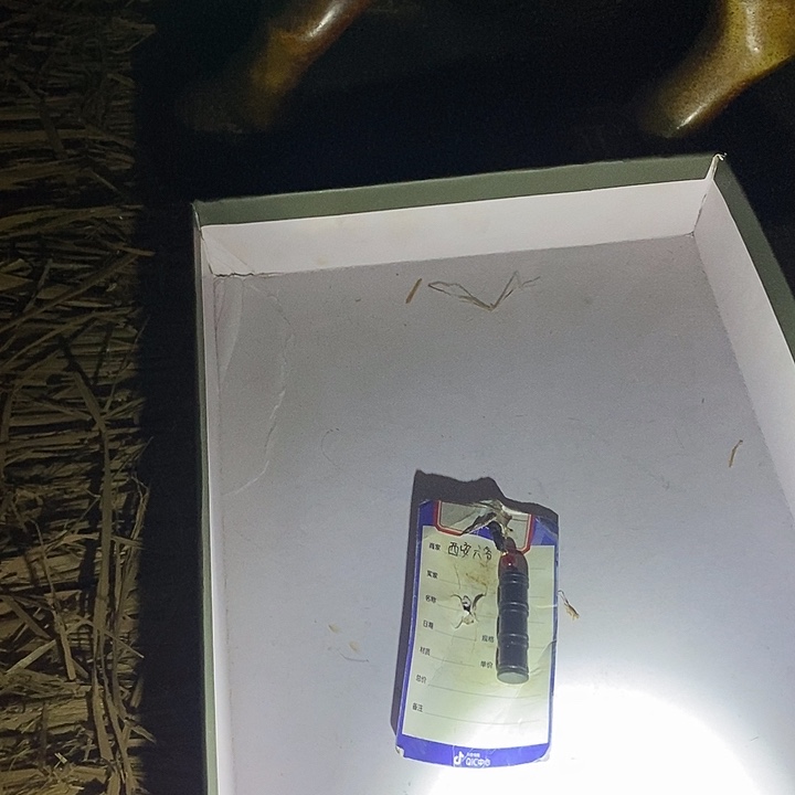 寧***侯和田玉未镶嵌挂件