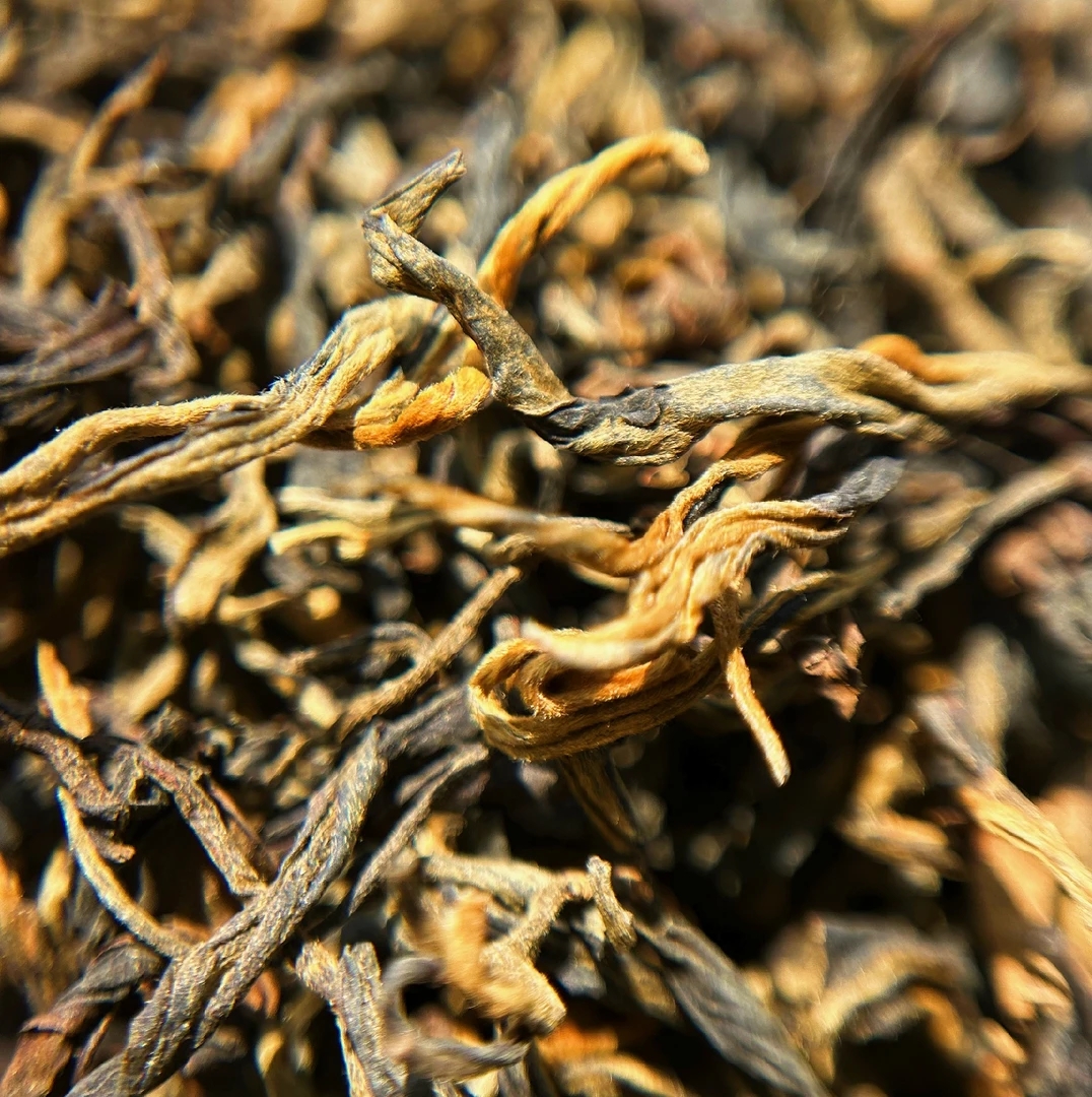 古树晒红茶芽头肥硕香气高长口感醇厚