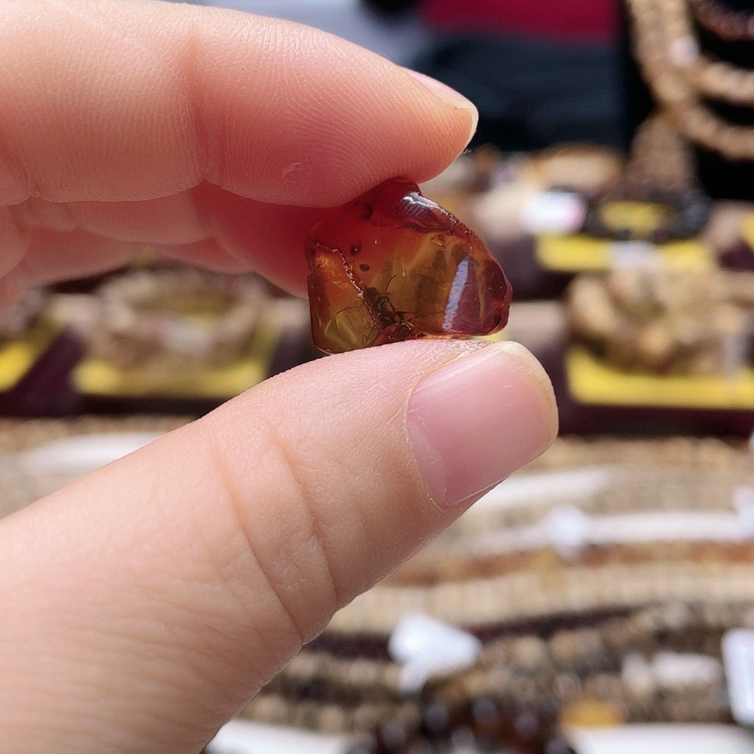 琥珀裸石未镶嵌G****乖大