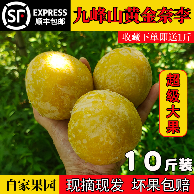 奈李一箱