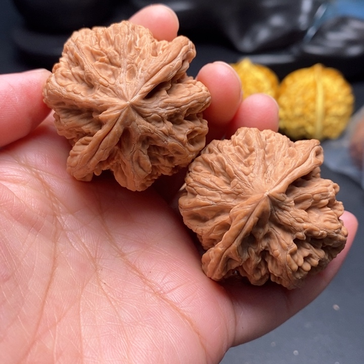 文玩核桃把件九龙粗筋43尺