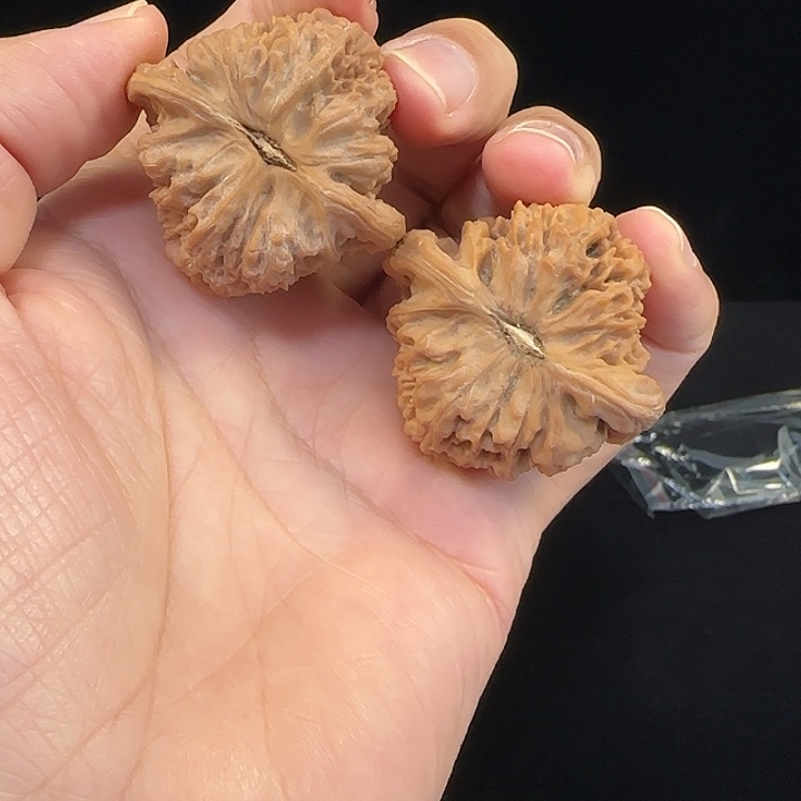 一***啦桃核把件全品无修南疆石