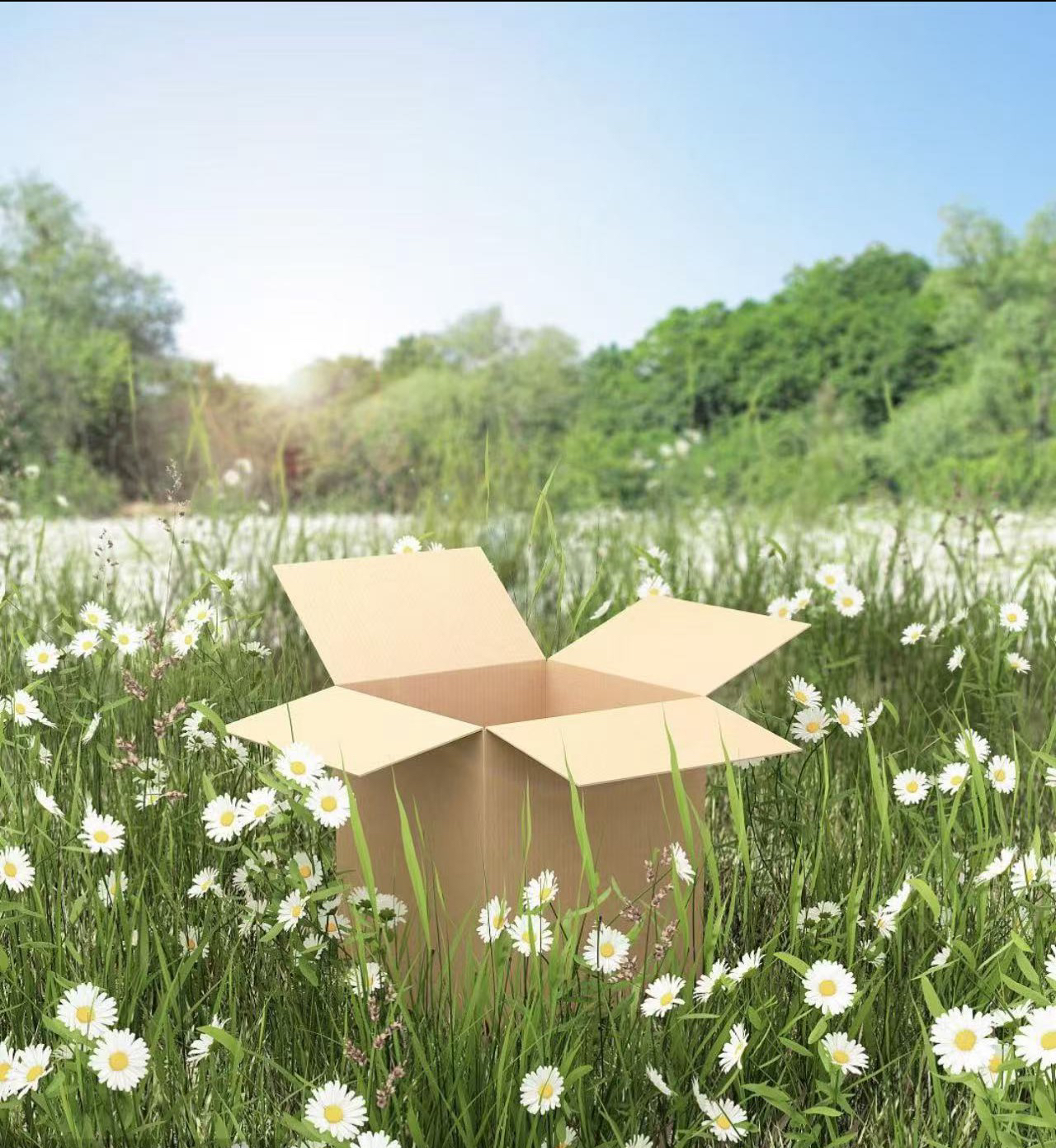 112号打包箱-以直播间主播展示为准