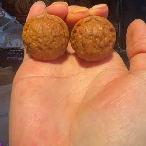 文玩核桃把件蛇皮球带彩磕尖34