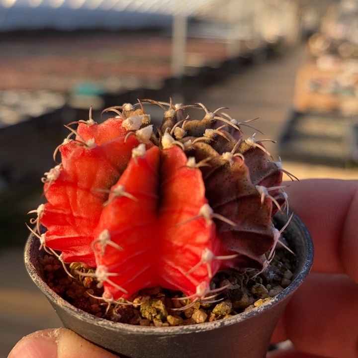 5100一个一个一个