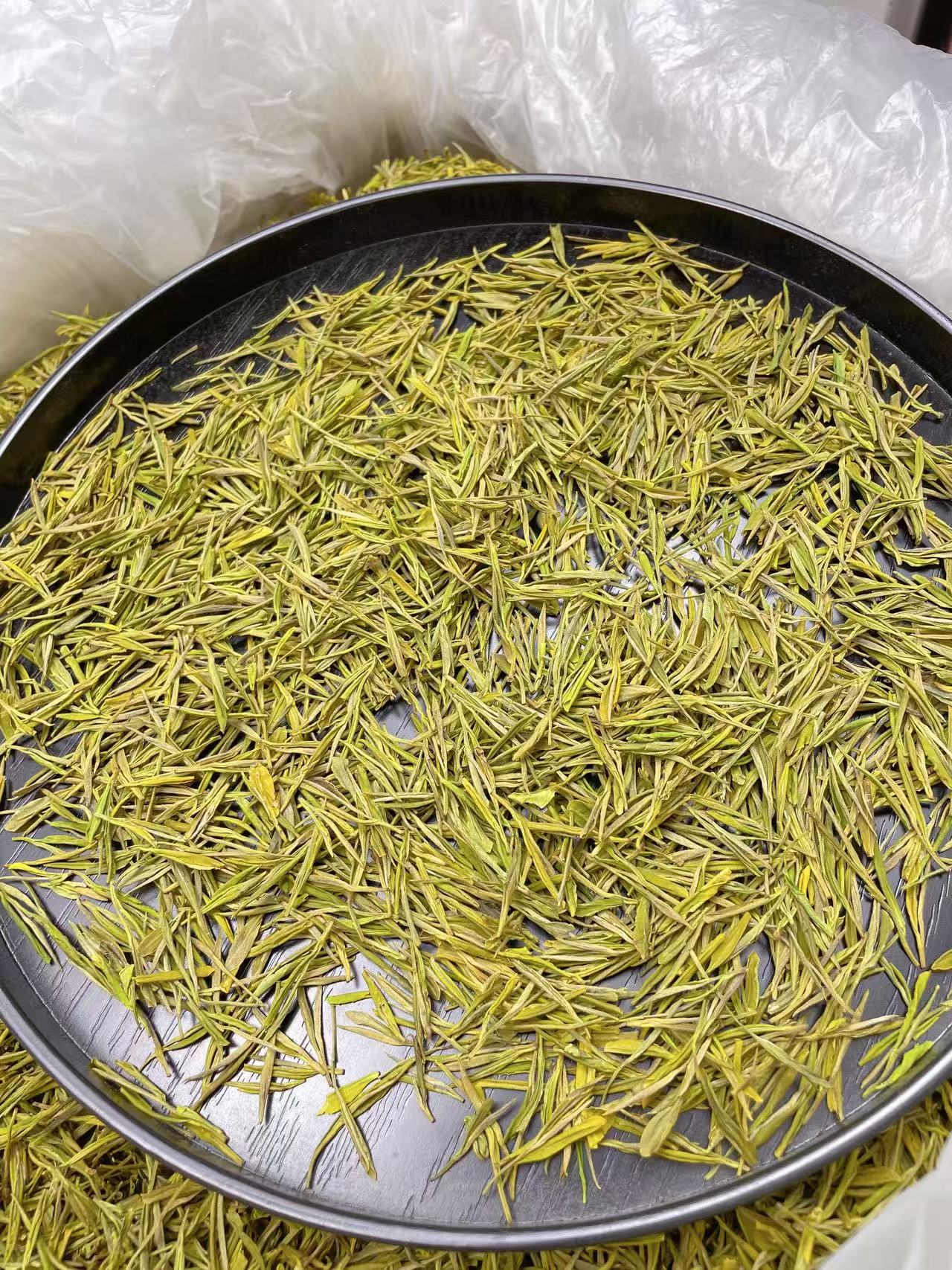 清香豆香黄金芽H-308