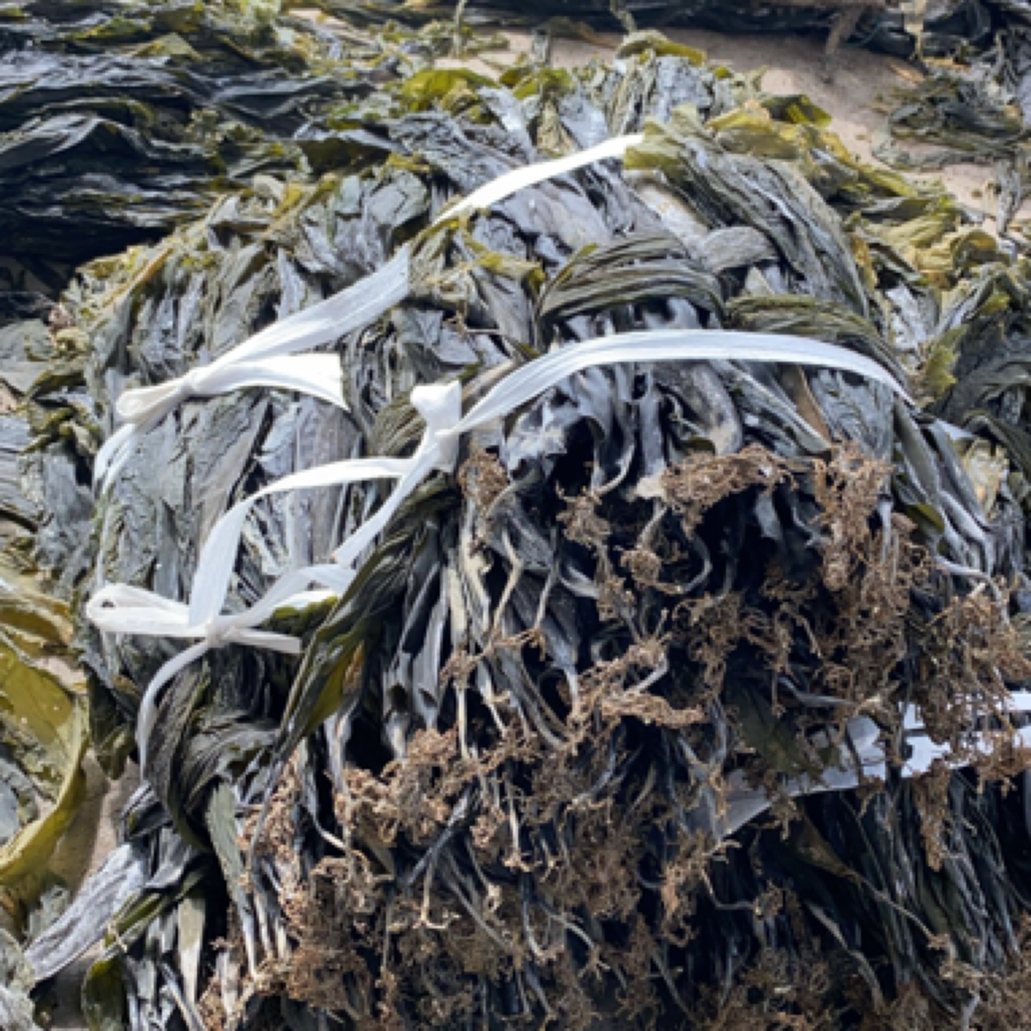 日晒 无沙 无盐 干海带 煲汤凉拌佳品