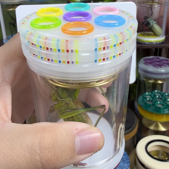 彩窗老谭1.2等间距44444