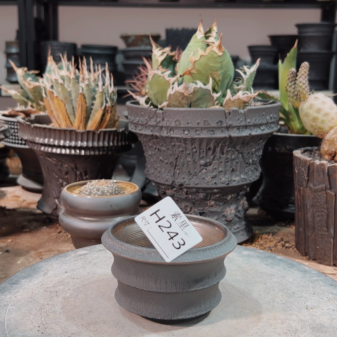 景德镇手工素里内口8.5高6