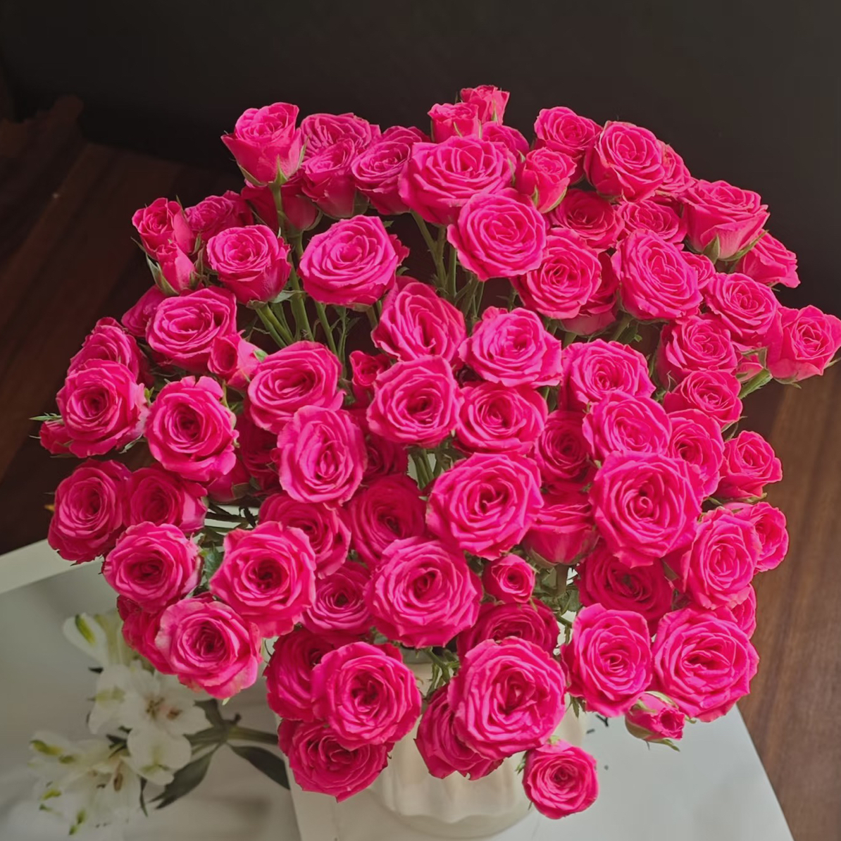 【鲜花批发】稀有粉红溜溜球10只