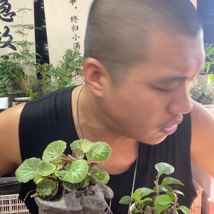 无花朵退款拉黑拉黑216