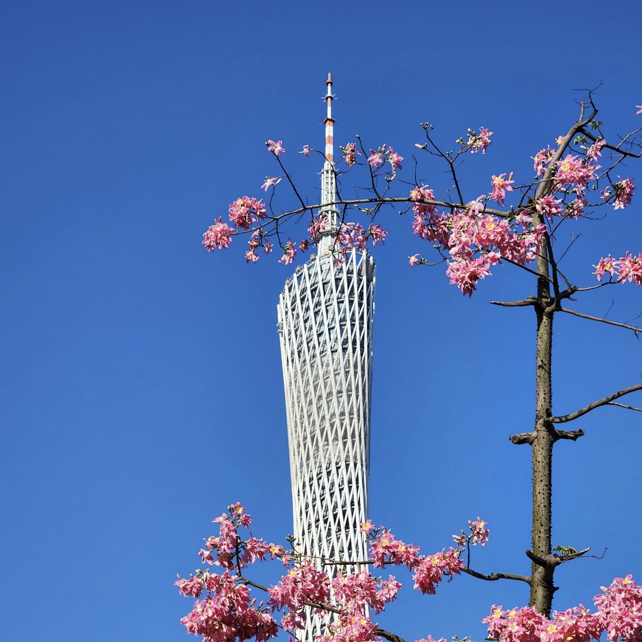 YYCOCO高定女包33105B-1