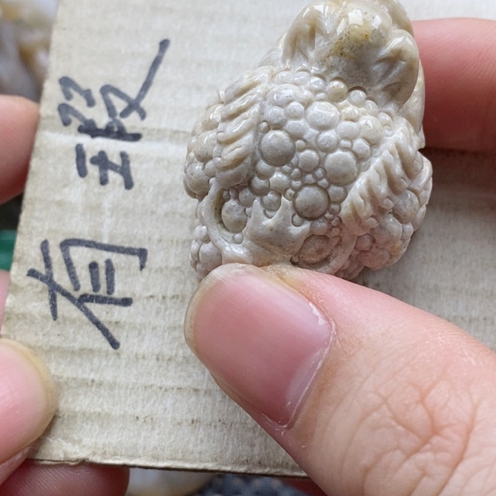 硅化珊瑚（珊瑚玉）颈饰未镶嵌吉*