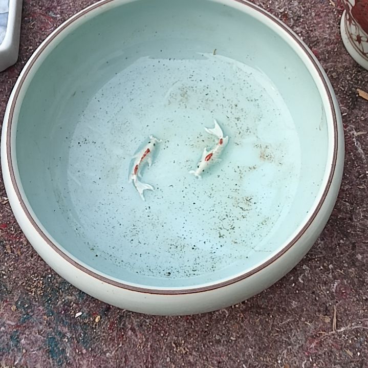 瓷片，，，，，，，，，，，，，，，，，