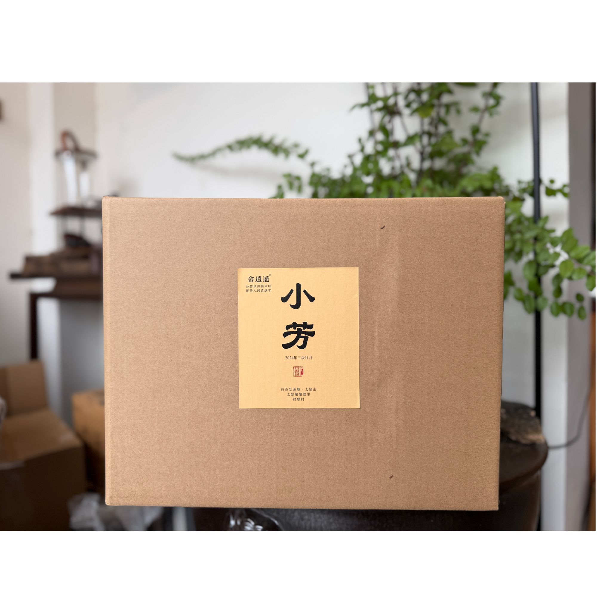 （小芳）花香牡丹（畲逍遥）白茶