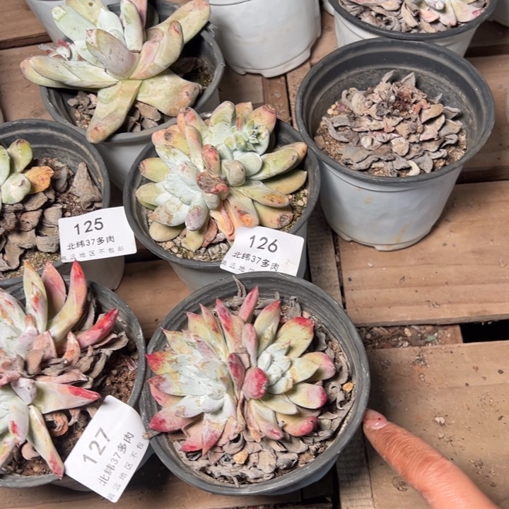 128哈哈哈哈哈哈哈哈