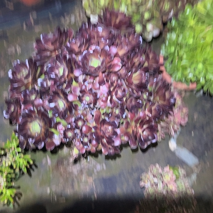 法师链接一物一拍76