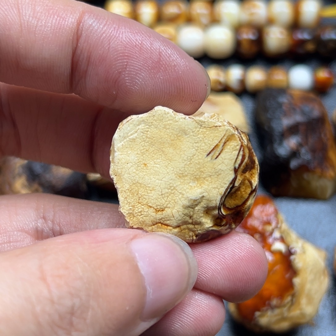 定制琥珀未镶嵌李琥珀蜜蜡原石定制