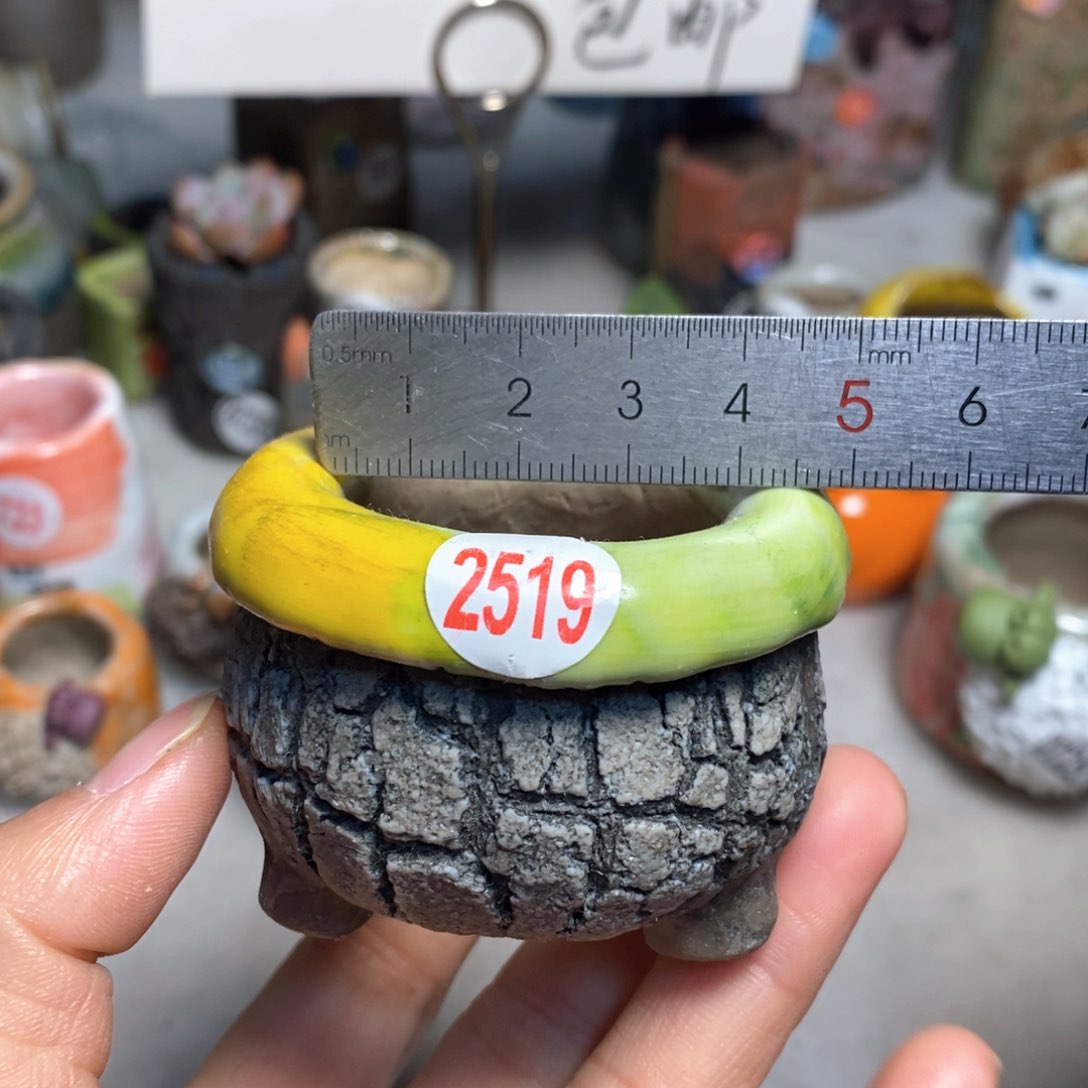 花盆拍3送一个小礼物