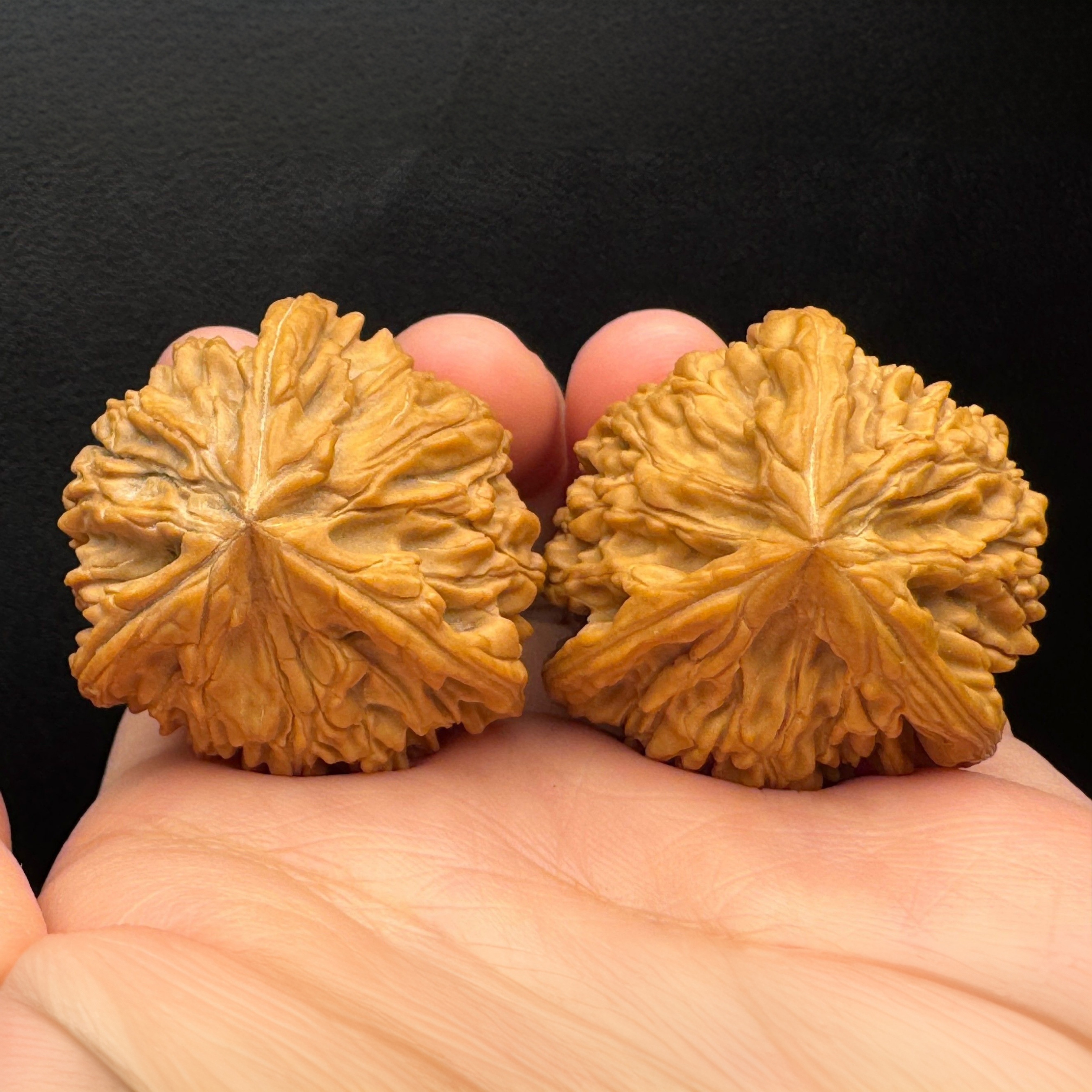 精品文玩核桃面面精配