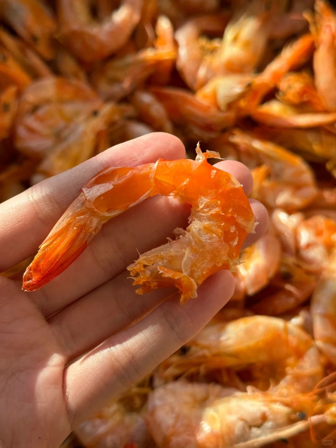 虾干碳烤虾干即食农产品