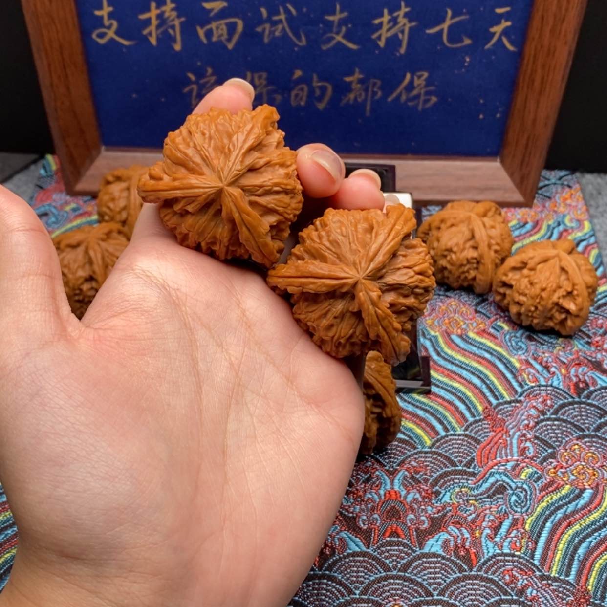 【闪购商品】大*白狮