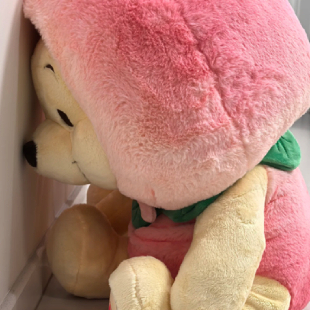 中古玩偶默认微瑕，洗不掉的不会出现，no退no换