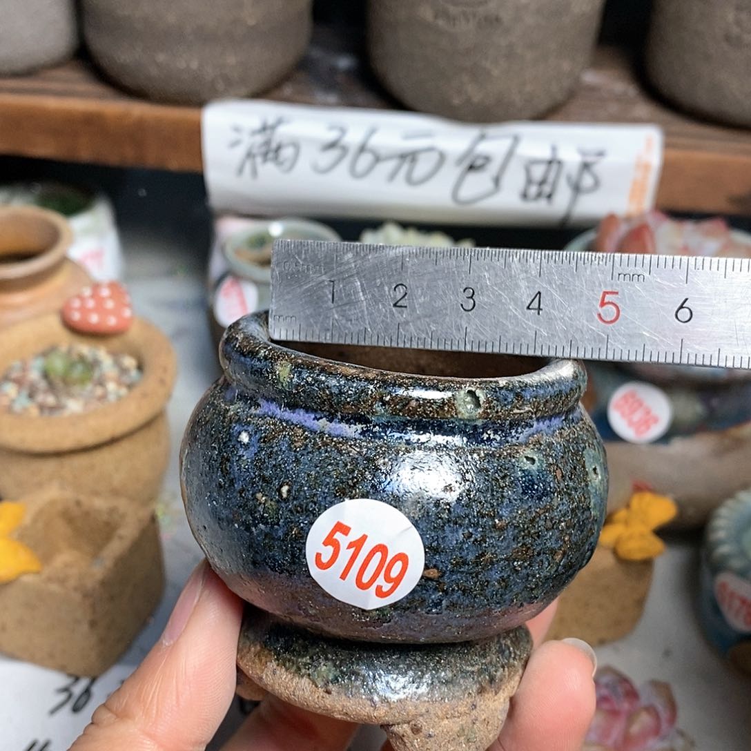 红陶拍5送一个小