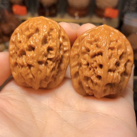 野生小众：精品红莲