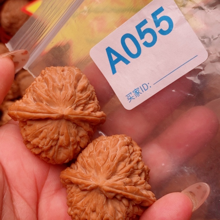 白狮子39尺055号123
