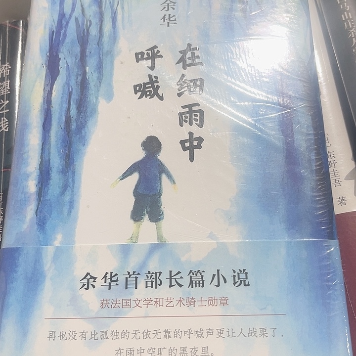 在细雨中呼喊全新