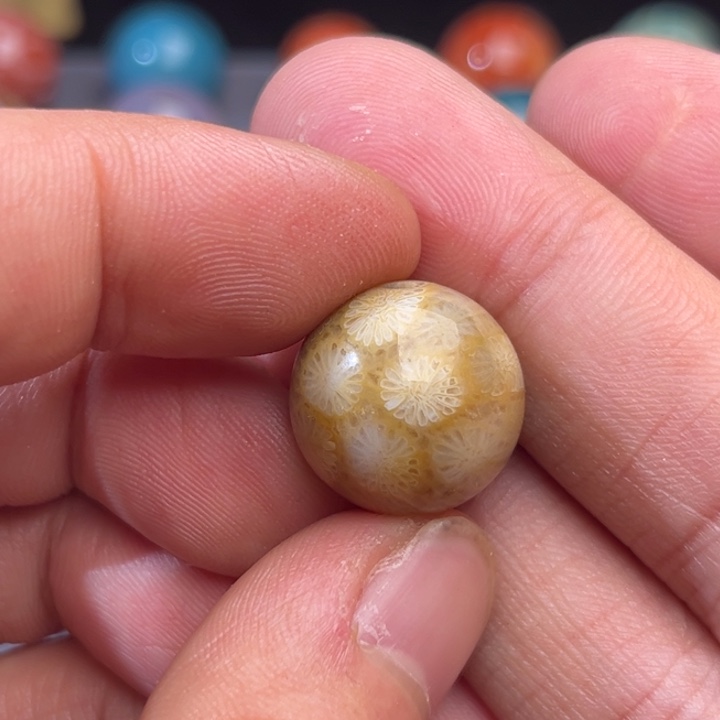 玛瑙/玉髓未镶嵌珠子硅化玉 卡1.7