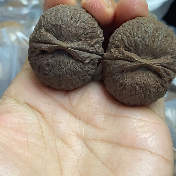 文玩核桃把件云南铁核桃基地12