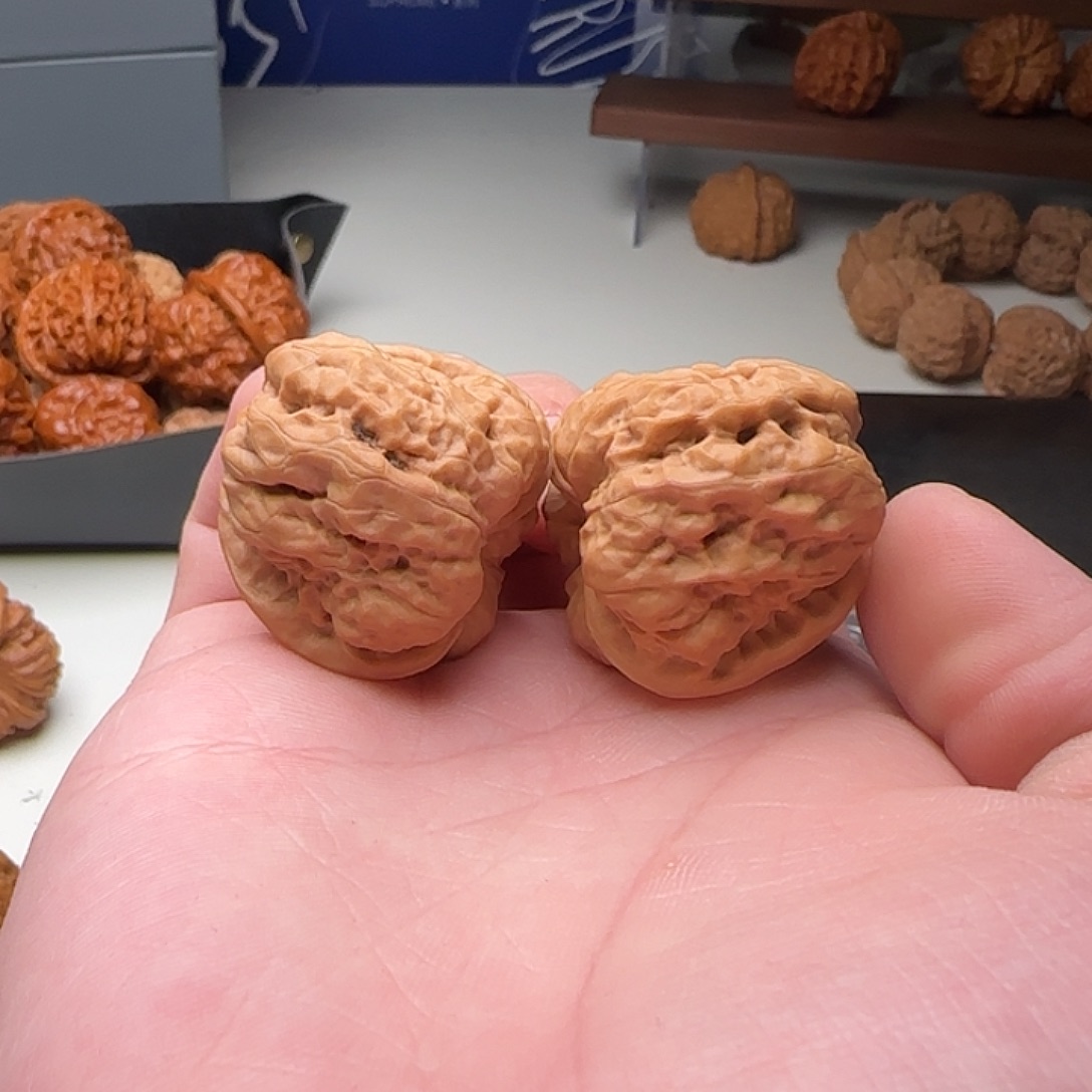 B19号小尺寸好蛙34-37-31