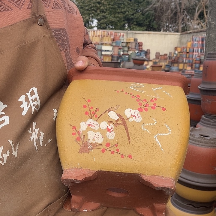 紫砂紫砂花盆盆栽