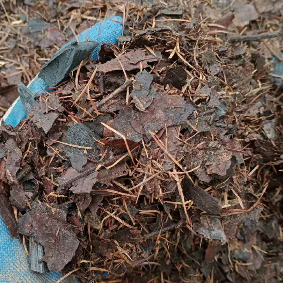 三合一通用型腐植土含松针像树叶果木炭5.5腐叶土斤