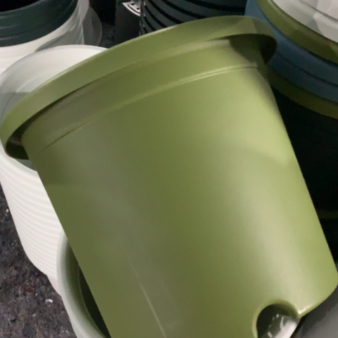 树脂5加果绿无托3个