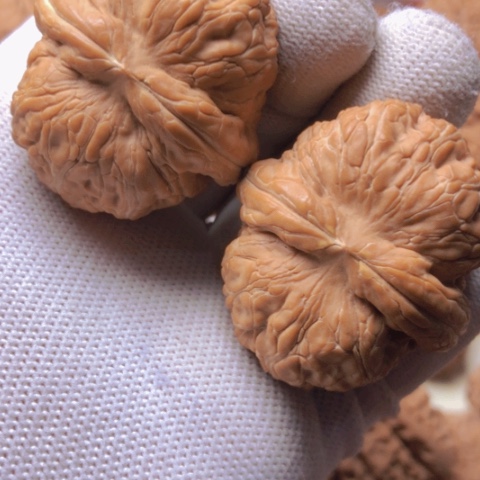 【闪购商品】桃核吊坠元宝狮子头