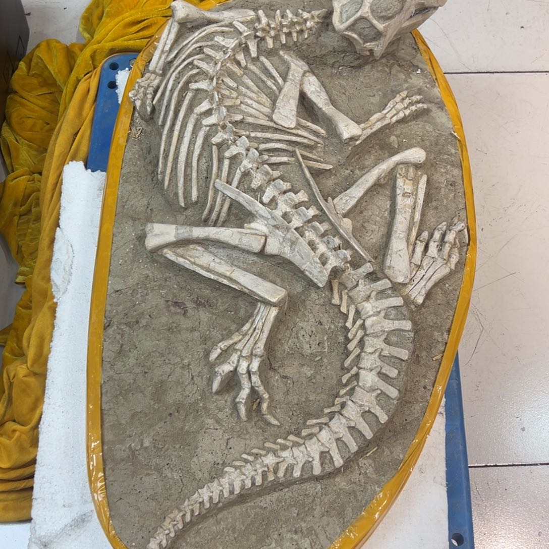 八***梦完全开放精品摆件家居摆件