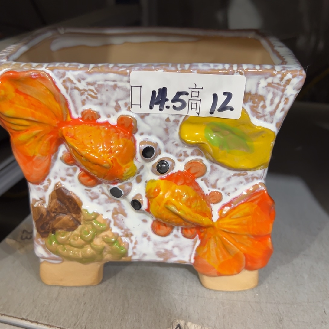 满20米飞秒退拉黑多肉花盆