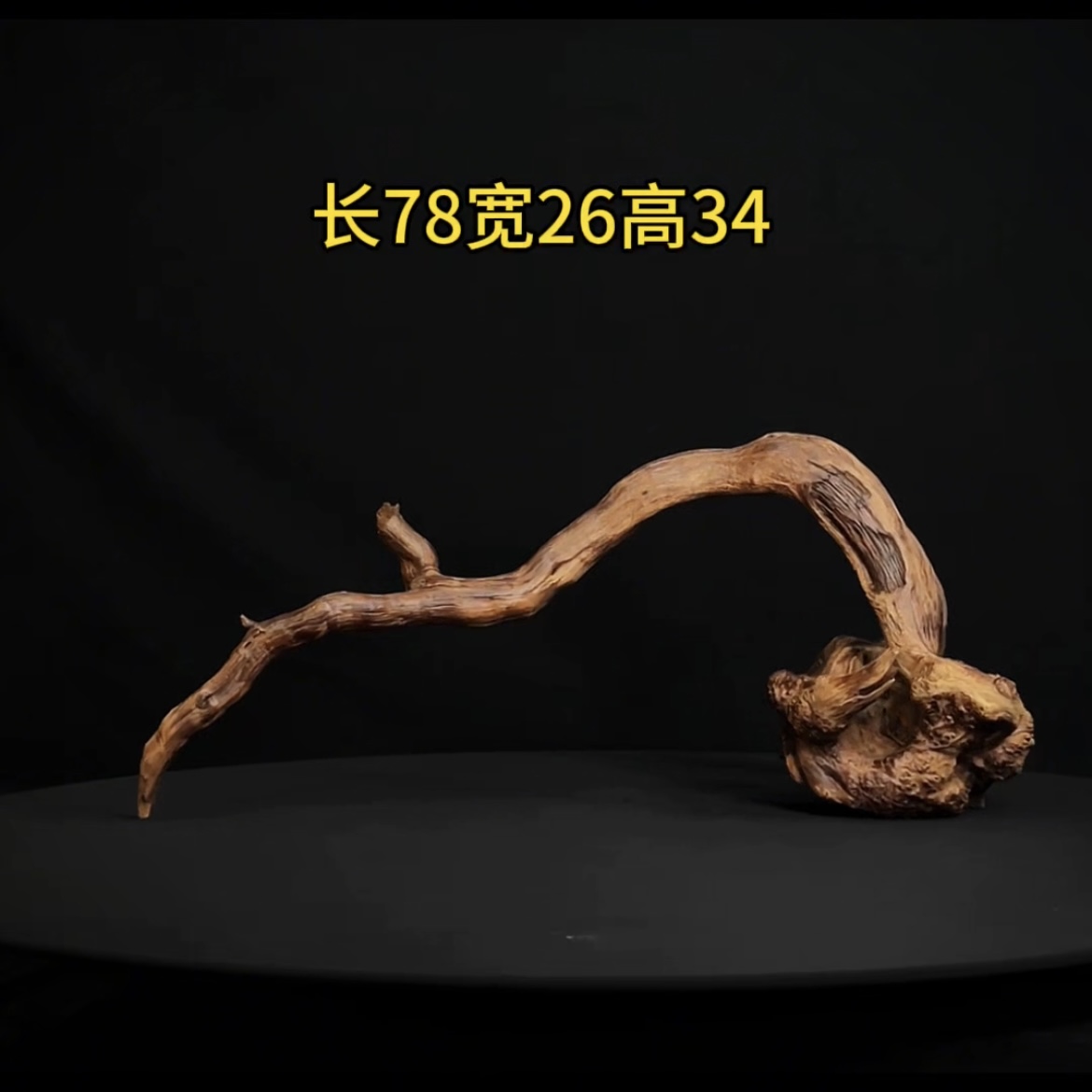 张大狼造景沉木长78cm圆拱桥 南美鱼缸造景 紫柚木秒沉
