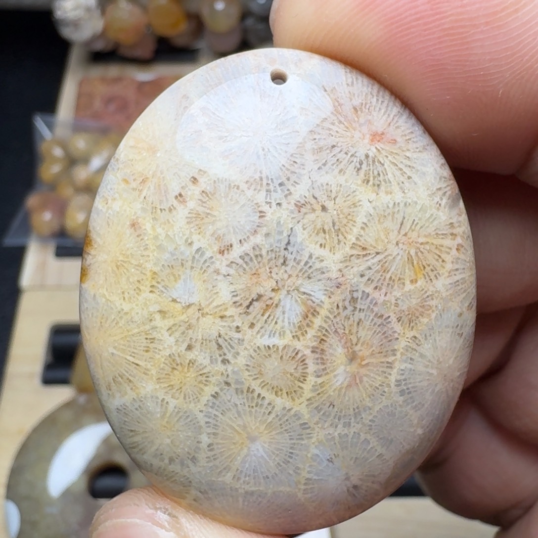 硅化珊瑚（珊瑚玉）未镶嵌纯天然色有机玉石保真色
